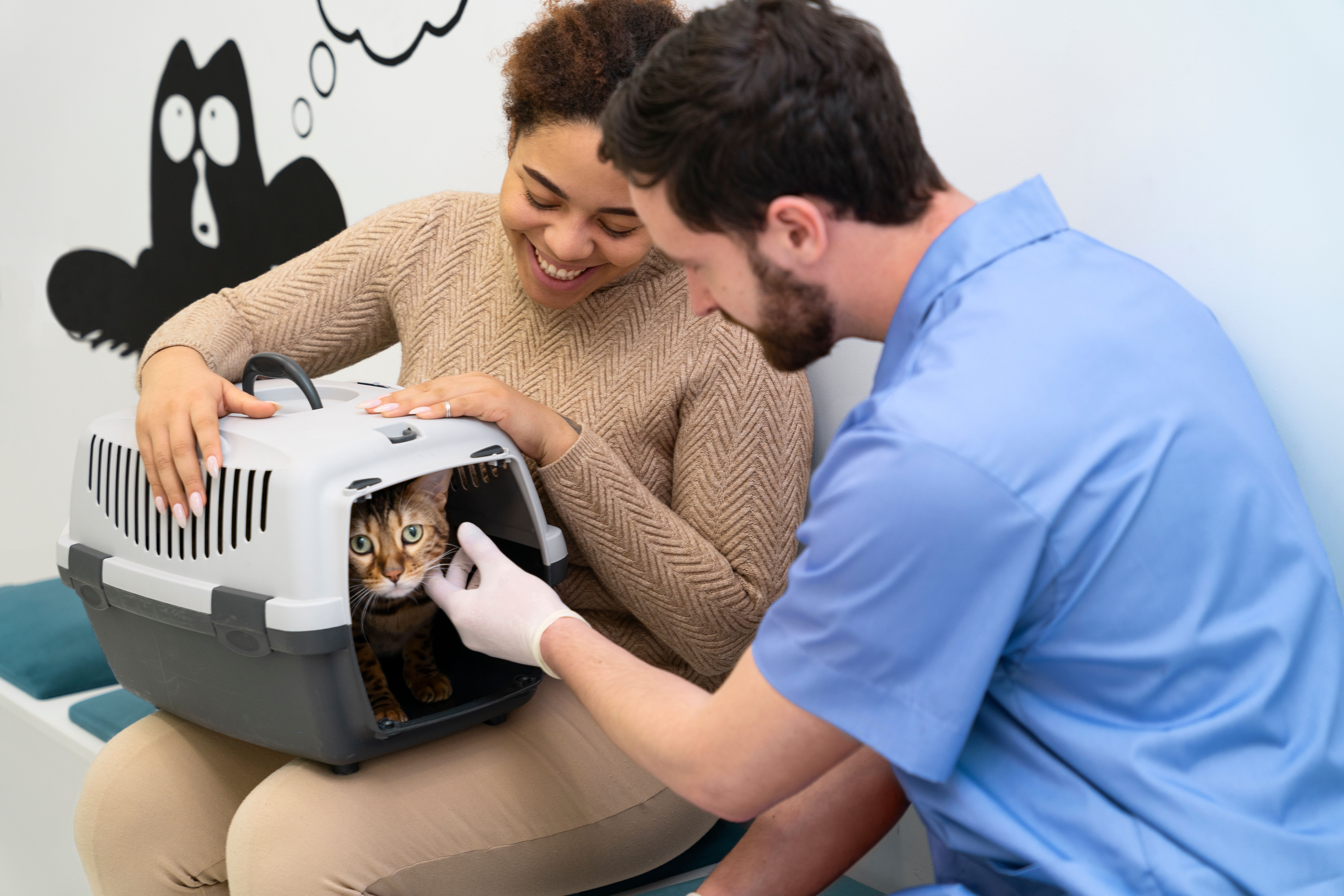 SOS Cães e Gatos | Itaboraí